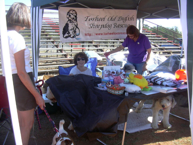 /images/events/6/DOGFEST 2007 013.jpg